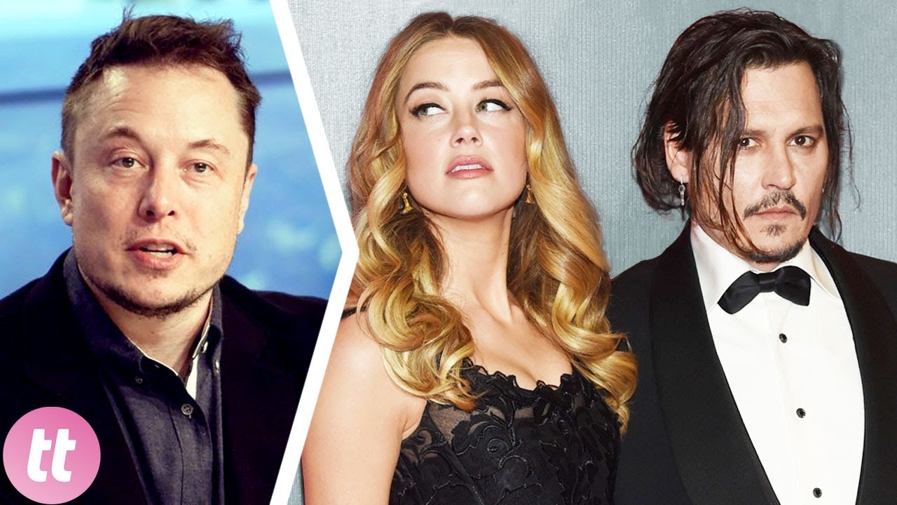 Did Elon Musk Father Amber Heard's Twins? A Look At The Evidence Did Elon Musk Father Amber Heard's Twins? A Look At The Evidence