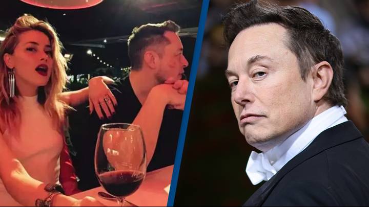 Did Elon Musk Father Amber Heard's Twins? Examining The Claims Did Elon Musk Father Amber Heard's Twins? Examining The Claims