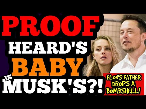 Did Elon Musk Father Amber Heard's Twins? Exploring The Claims Did Elon Musk Father Amber Heard's Twins? Exploring The Claims
