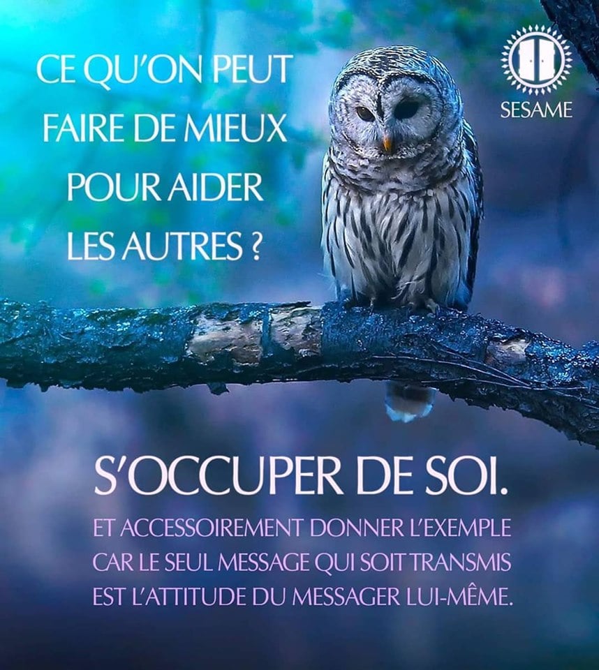 Dijon : Faire Don De Ses Cheveux Pour Aider Les Autres Dijon : Faire Don De Ses Cheveux Pour Aider Les Autres