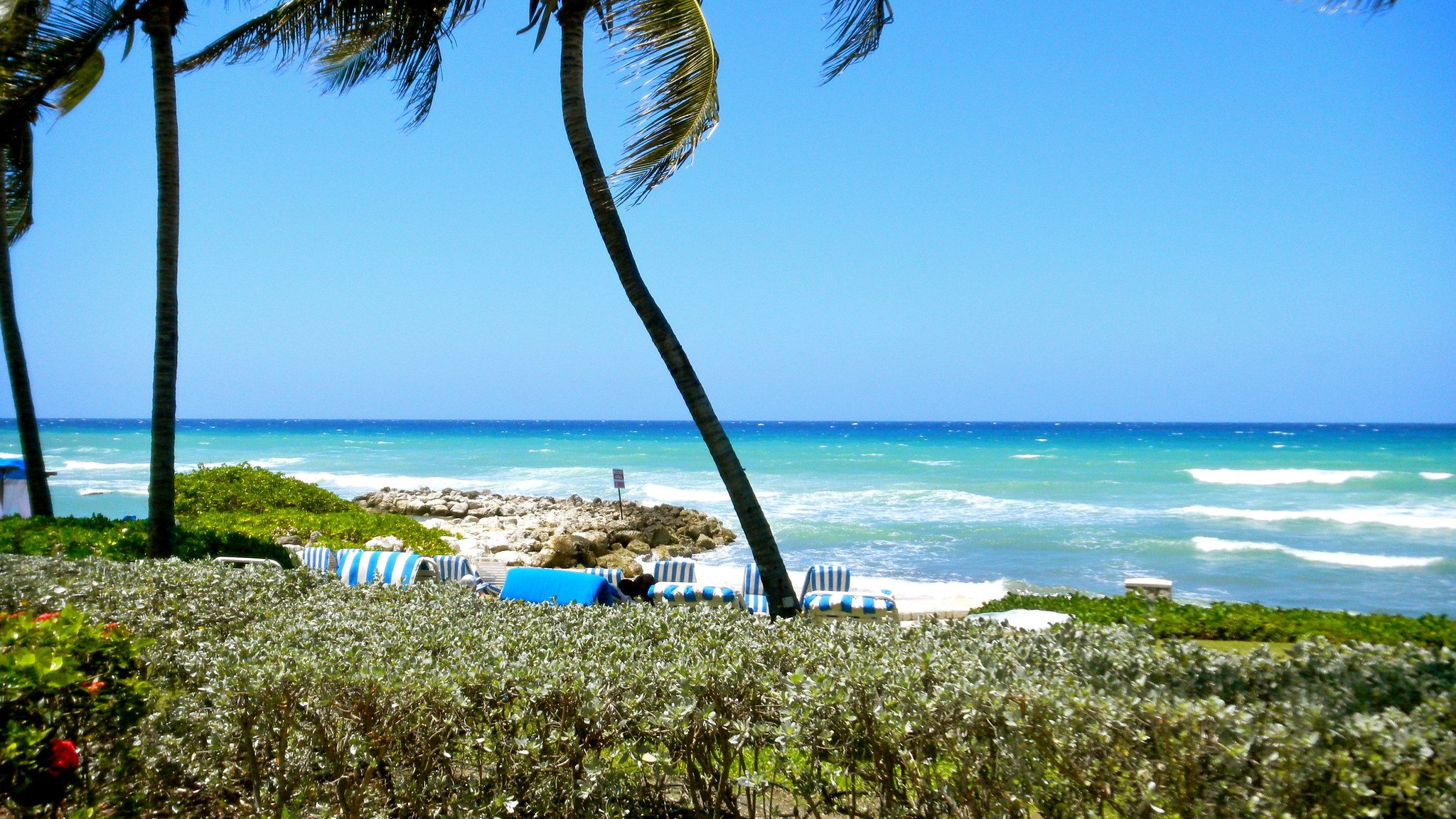 Discover Montego Bay: Beaches, Culture, And Beyond Discover Montego Bay: Beaches, Culture, And Beyond