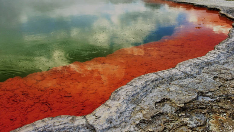 Discover Rotorua: A Journey Through Geothermal Wonders And Maori Culture Discover Rotorua: A Journey Through Geothermal Wonders And Maori Culture