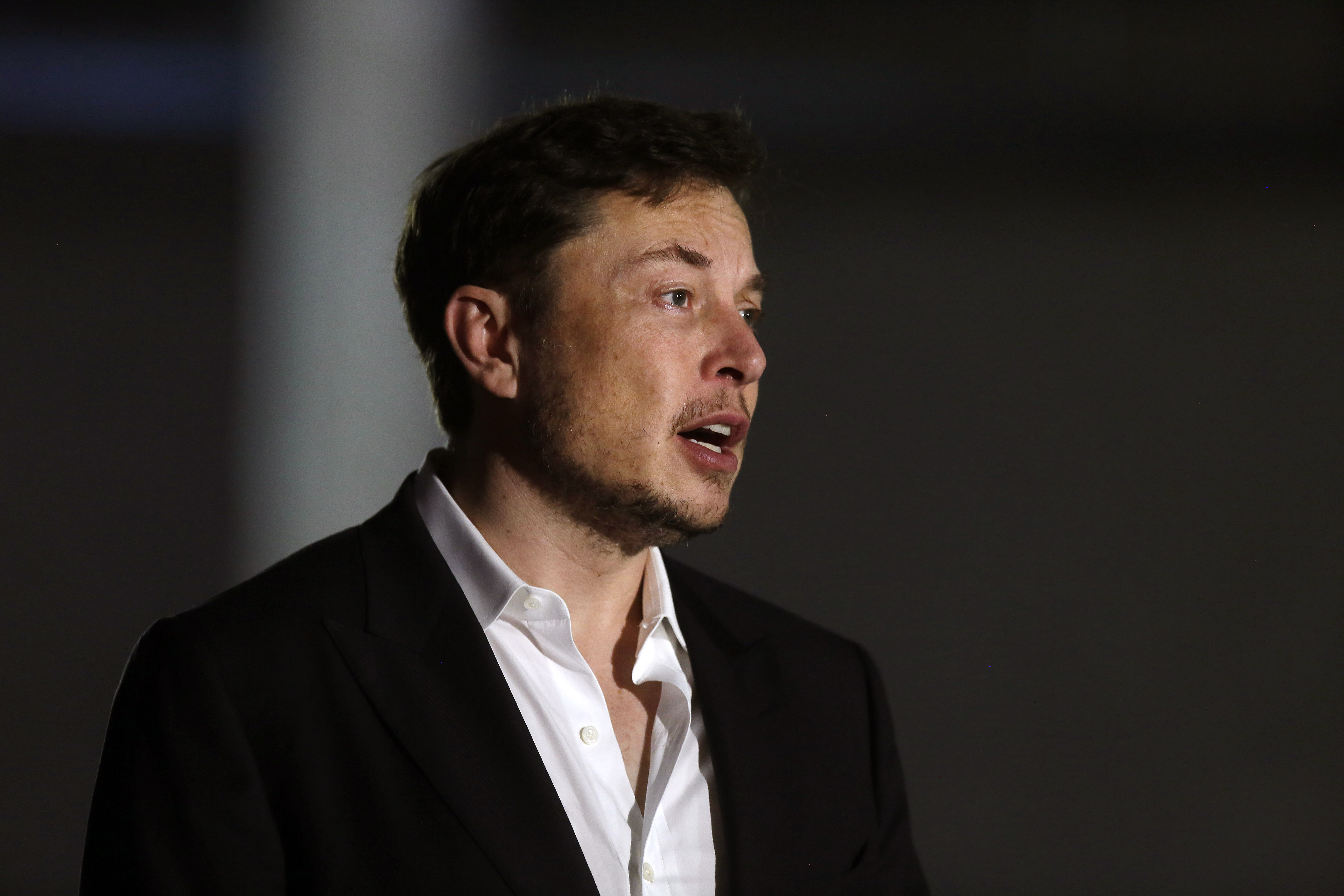 Dismissal Rumors: Tesla Board Affirms Elon Musk's Position Dismissal Rumors: Tesla Board Affirms Elon Musk's Position