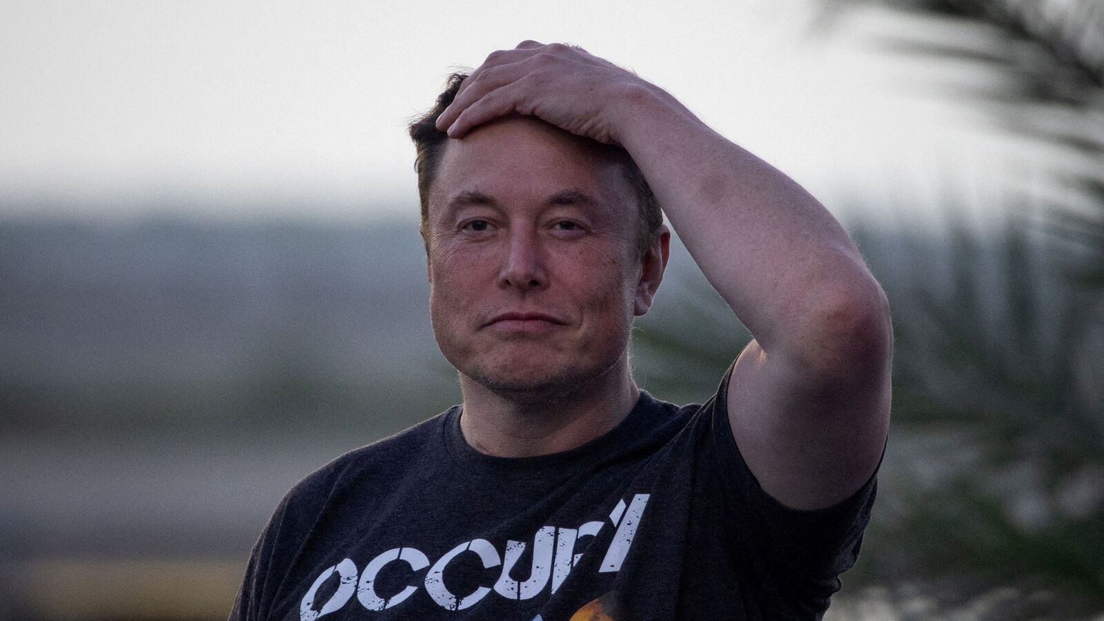 Dogecoin's Recent Decline: Examining The Role Of Elon Musk And Tesla Dogecoin's Recent Decline: Examining The Role Of Elon Musk And Tesla