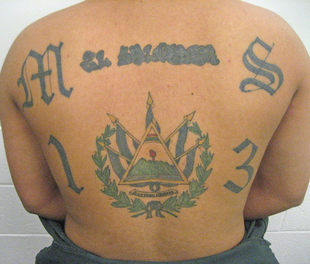 Donald Trump's Misunderstanding Of MS-13 Tattoos: A Calibri Conundrum Donald Trump's Misunderstanding Of MS-13 Tattoos: A Calibri Conundrum