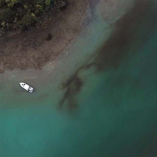 Double Trouble: Back-to-Back Harmful Algal Blooms Threaten Kodiak Shellfish Industry Double Trouble: Back-to-Back Harmful Algal Blooms Threaten Kodiak Shellfish Industry