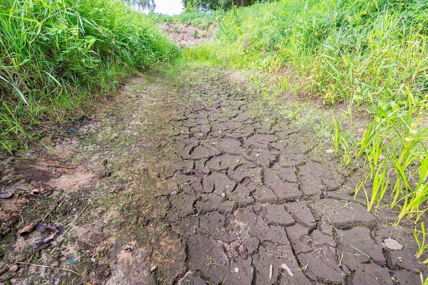 Droogte Leidt Tot Vele Afgelaste Paasvuren In Drenthe Droogte Leidt Tot Vele Afgelaste Paasvuren In Drenthe