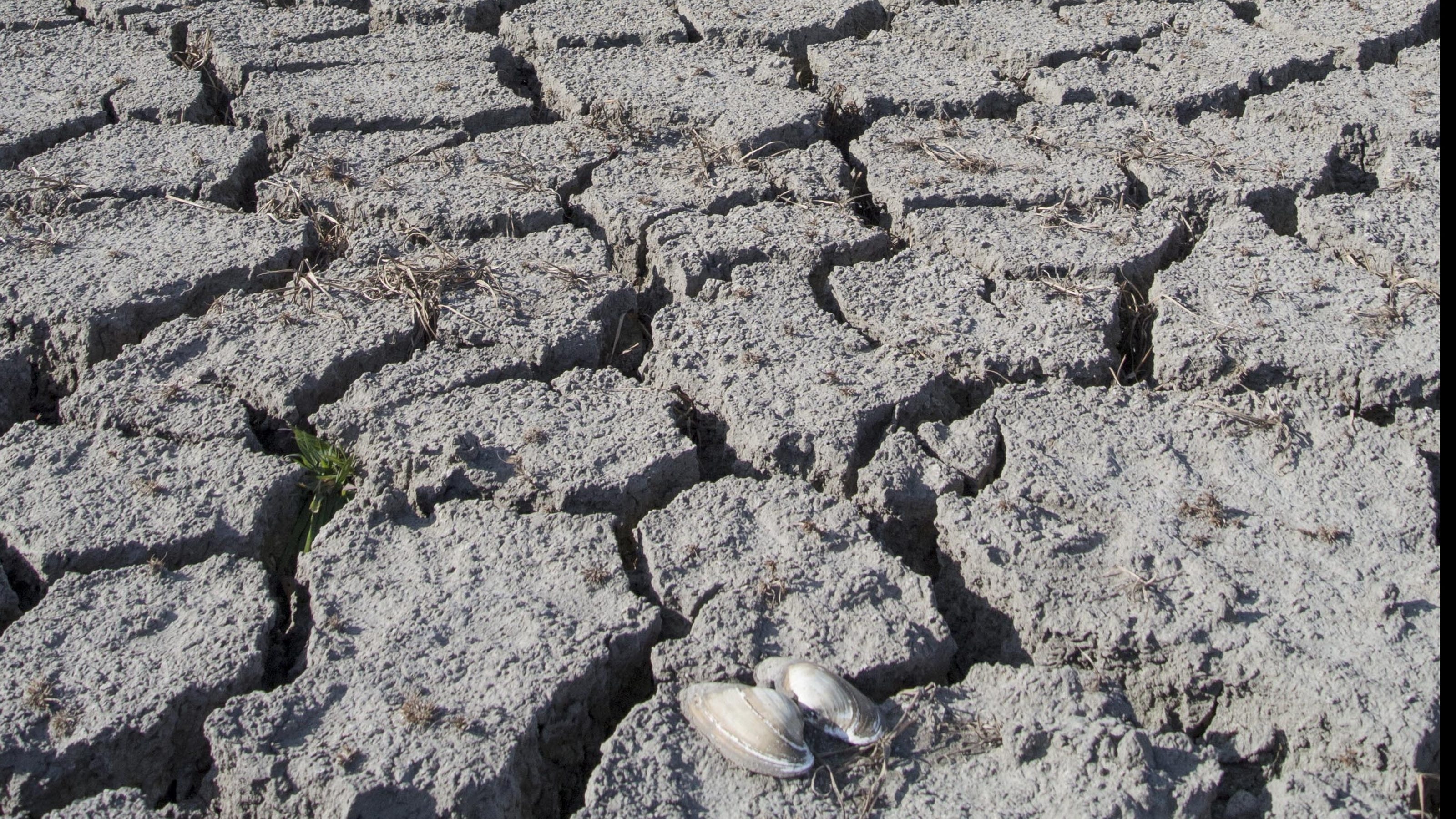 Drought Forecast: Learning From The 1968 Spring To Predict Summer Conditions Drought Forecast: Learning From The 1968 Spring To Predict Summer Conditions