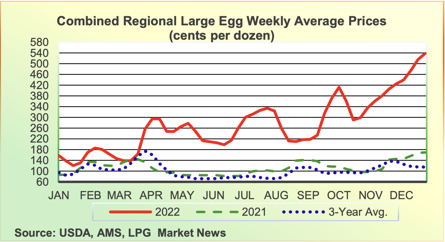 Egg Prices Plummet: Dozen Now $5 After Record Highs Egg Prices Plummet: Dozen Now $5 After Record Highs