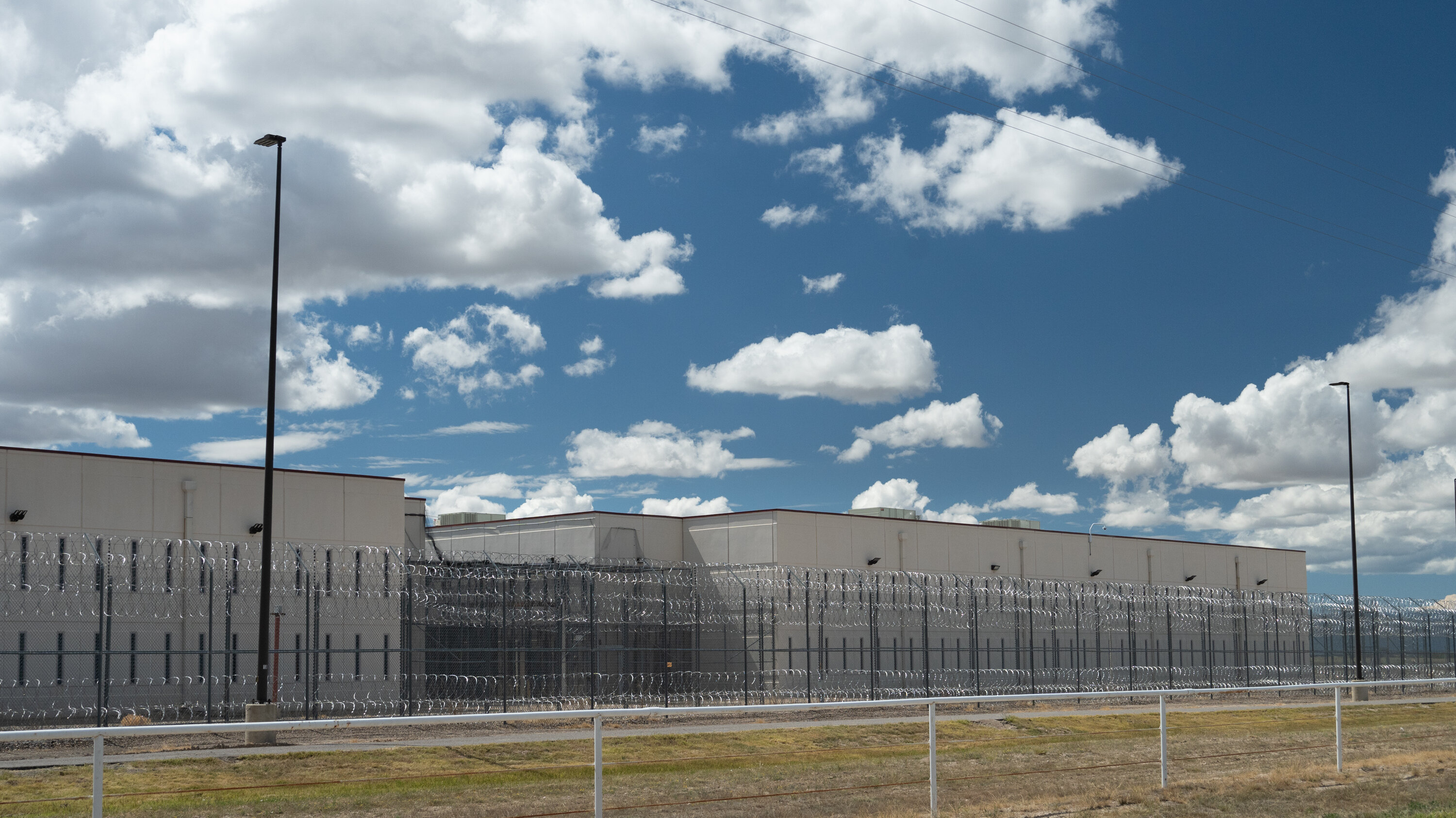 Eight Hours In A Tree: A Migrant's Struggle To Avoid ICE Detention Eight Hours In A Tree: A Migrant's Struggle To Avoid ICE Detention