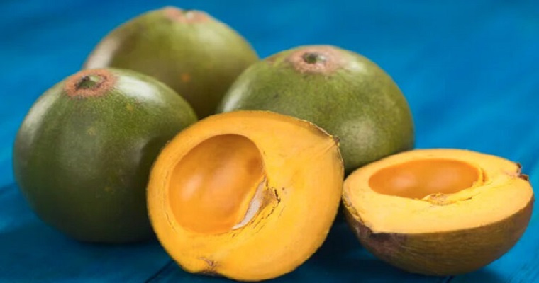 El Superalimento Que Supera Al Arándano: Beneficios Para La Salud Y La Longevidad El Superalimento Que Supera Al Arándano: Beneficios Para La Salud Y La Longevidad