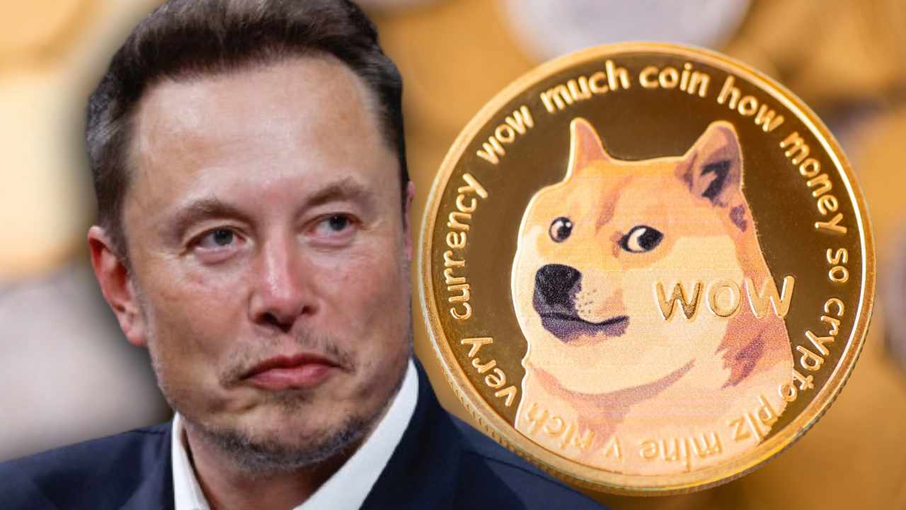 Elon Musk's Dogecoin: A Shifting Landscape Elon Musk's Dogecoin: A Shifting Landscape