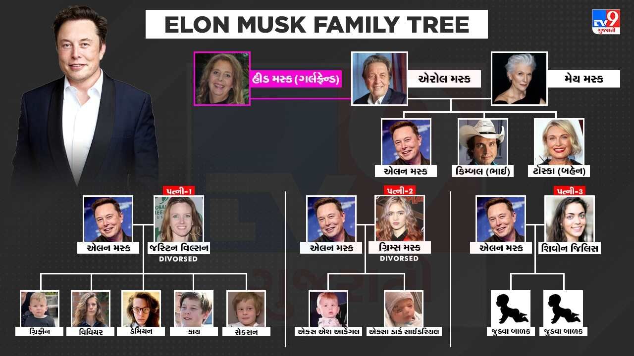 Elon Musk's Family Wealth: The Truth Behind Maye Musk's Account Of Their Rise Elon Musk's Family Wealth: The Truth Behind Maye Musk's Account Of Their Rise