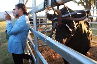 Embajada China Recibe Tres Toros Uruguayos: Un Regalo Del Presidente Lacalle Pou A Xi Jinping Embajada China Recibe Tres Toros Uruguayos: Un Regalo Del Presidente Lacalle Pou A Xi Jinping