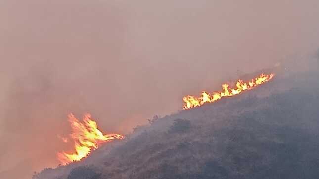 Emergencia En Constanza: Incendio De Grandes Proporciones Afecta A Residentes Emergencia En Constanza: Incendio De Grandes Proporciones Afecta A Residentes