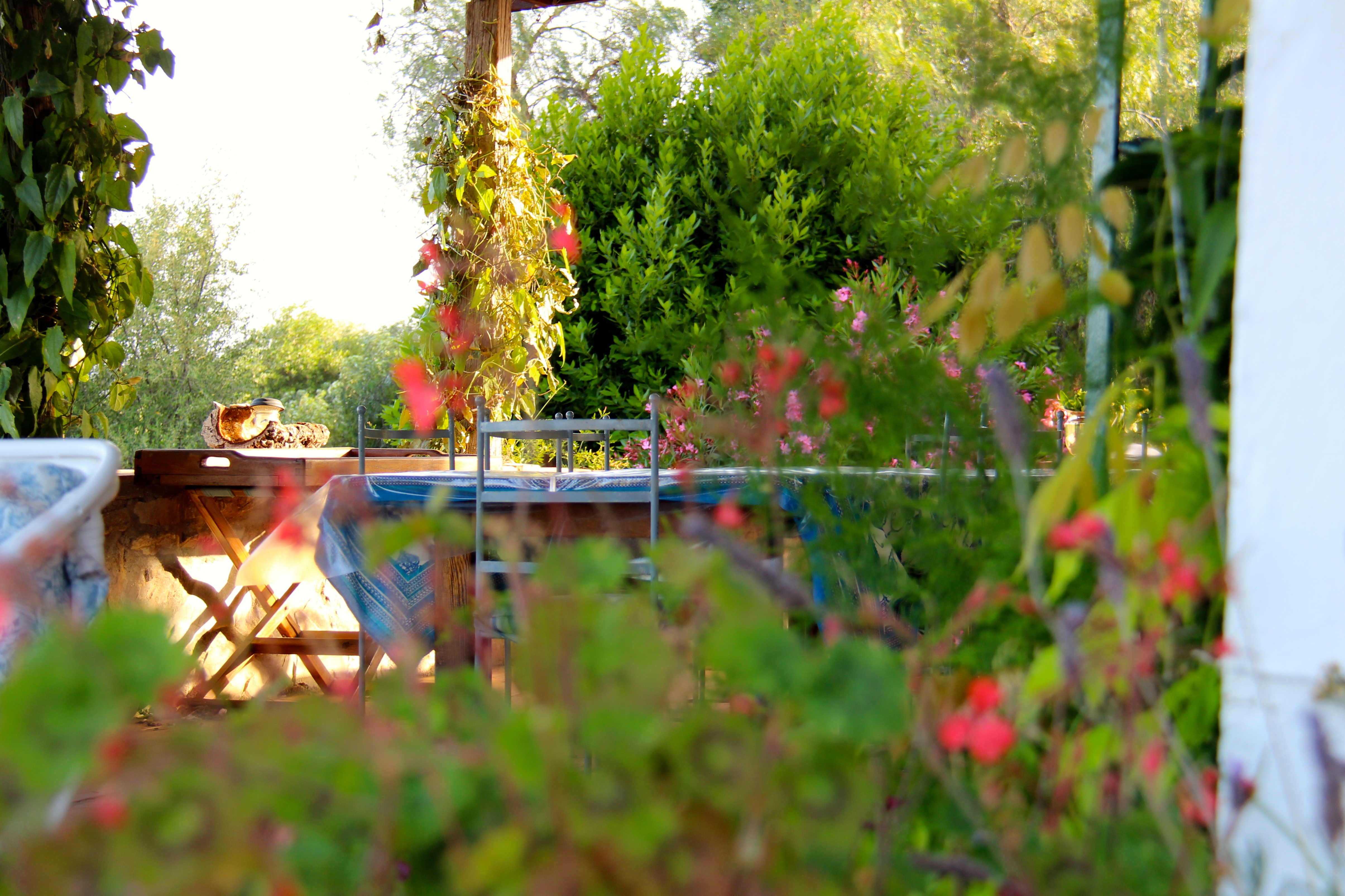 Escape The Everyday At This Charming Andalucian Farmstay