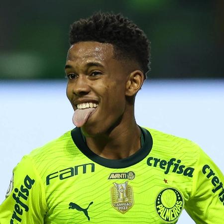 Estêvão: Vômito Em Altitude Interrompe Partida Do Palmeiras
