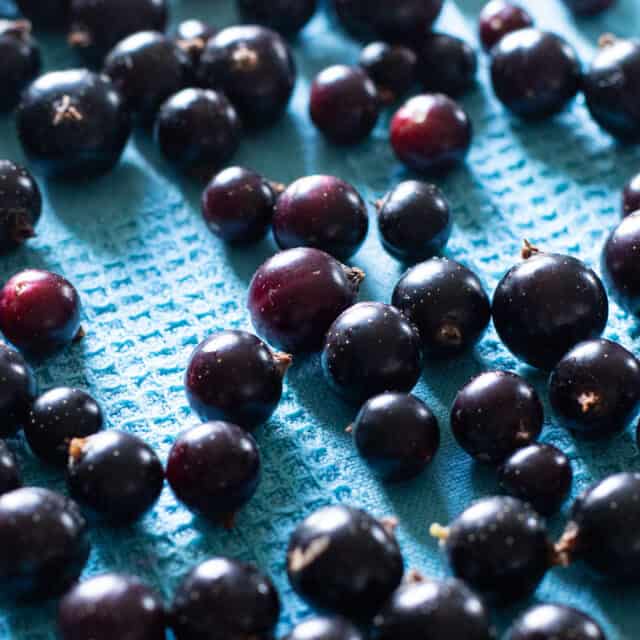 Exploring The Rich Flavors Of Cassis Blackcurrant Exploring The Rich Flavors Of Cassis Blackcurrant