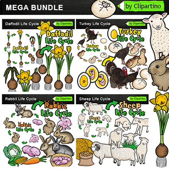 Farm Animals And Life Cycle Education: A Student Perspective Farm Animals And Life Cycle Education: A Student Perspective