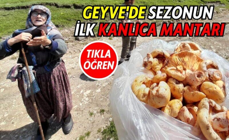 Fenerbahçe'de Sezonun İlk Ayrılığı: Tadic Yeni Takımında!