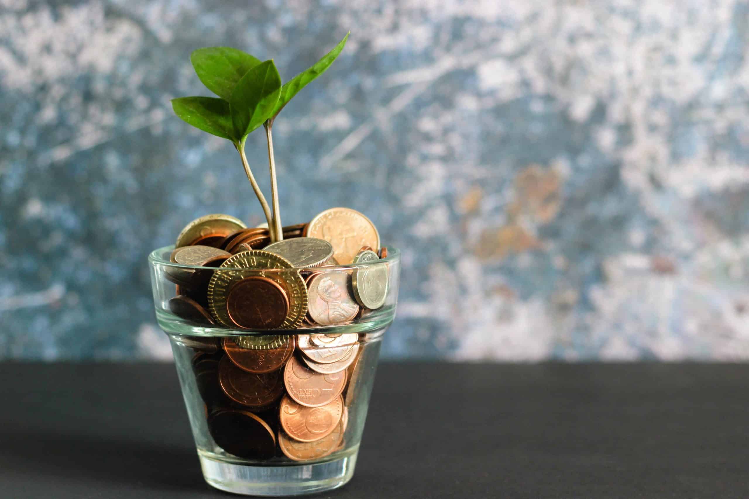 Finding The Real Safe Bet: Low-Risk Investment Options Explained Finding The Real Safe Bet: Low-Risk Investment Options Explained