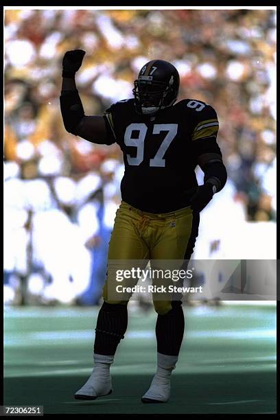 Former Pittsburgh Steelers Defensive Lineman Ray Seals Dies At 59