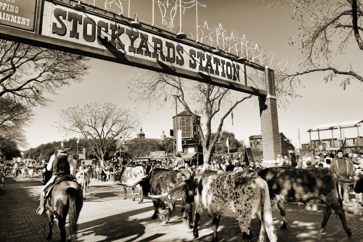 Fort Worth Stockyards: Joe Jonas' Pop-Up Concert Thrills Crowds Fort Worth Stockyards: Joe Jonas' Pop-Up Concert Thrills Crowds