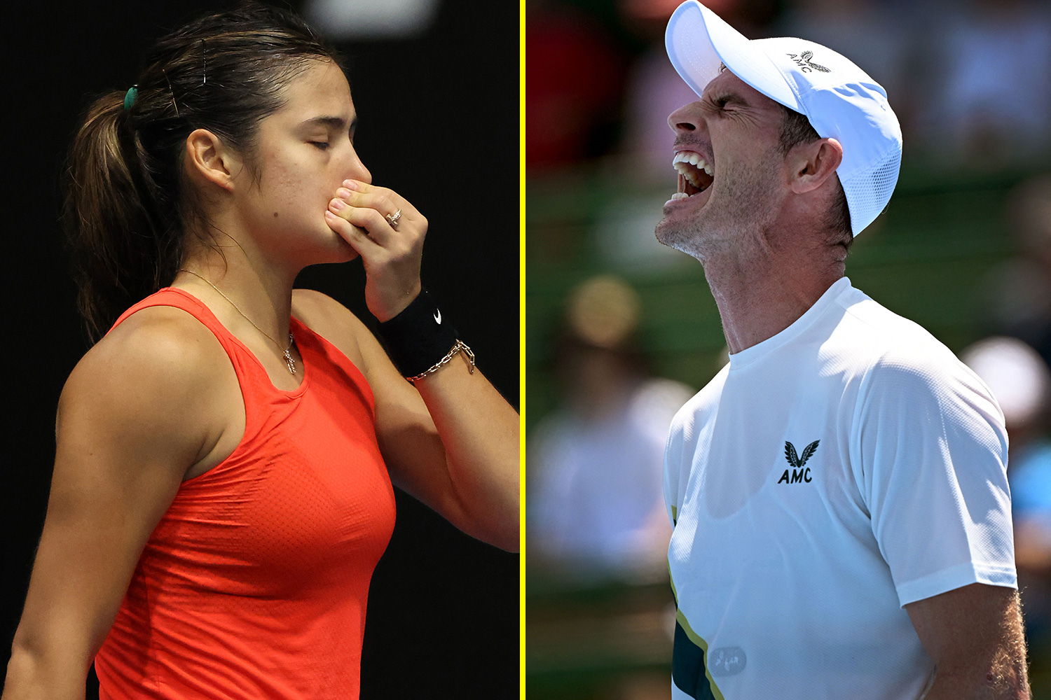 French Open 2025: Raducanu, Draper, And Djokovic Draw Results