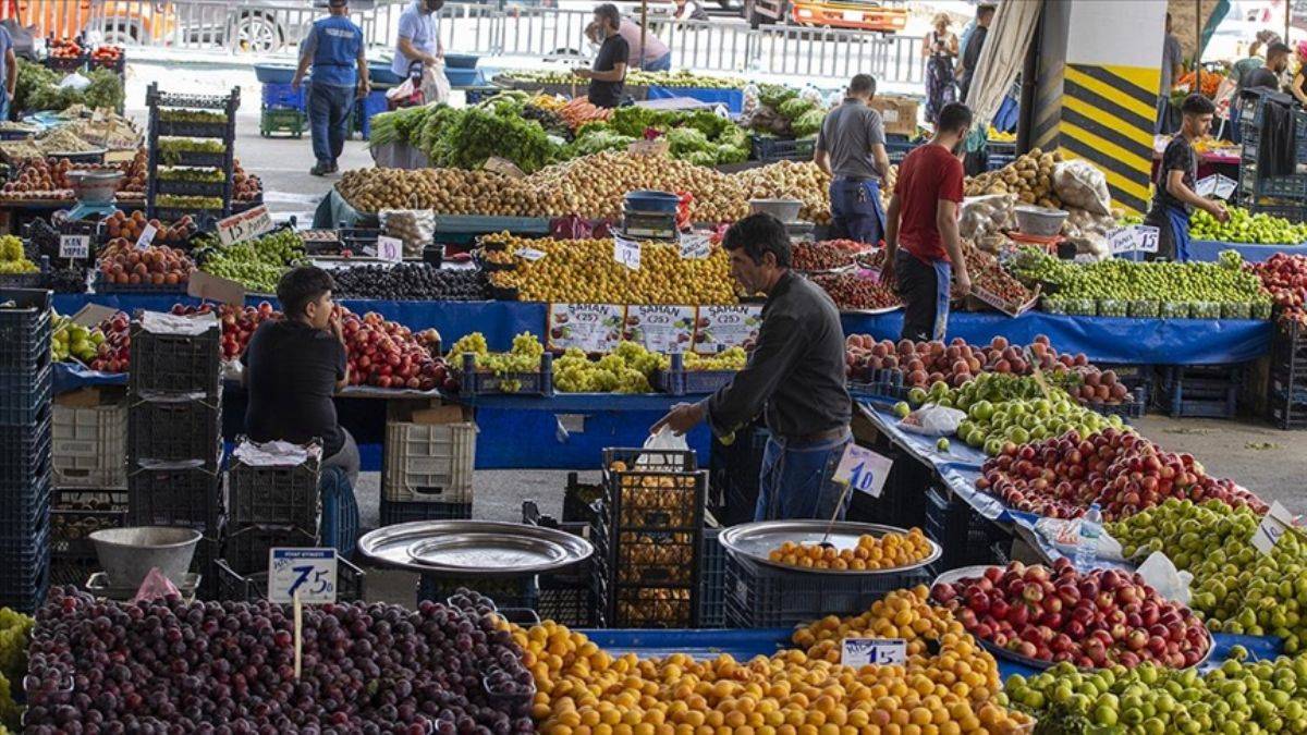 Gazze Balıkçıları: Kısıtlamalar, Yoğun Rekabet Ve Azalan Avlanma Gazze Balıkçıları: Kısıtlamalar, Yoğun Rekabet Ve Azalan Avlanma