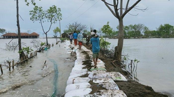 Giant Sea Wall: Upaya DPR Lindungi Warga Pesisir Dari Abrasi Dan Banjir Rob Giant Sea Wall: Upaya DPR Lindungi Warga Pesisir Dari Abrasi Dan Banjir Rob