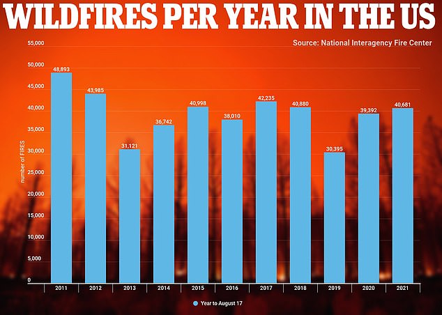 Global Forest Destruction: A Record Year Driven By Wildfires Global Forest Destruction: A Record Year Driven By Wildfires