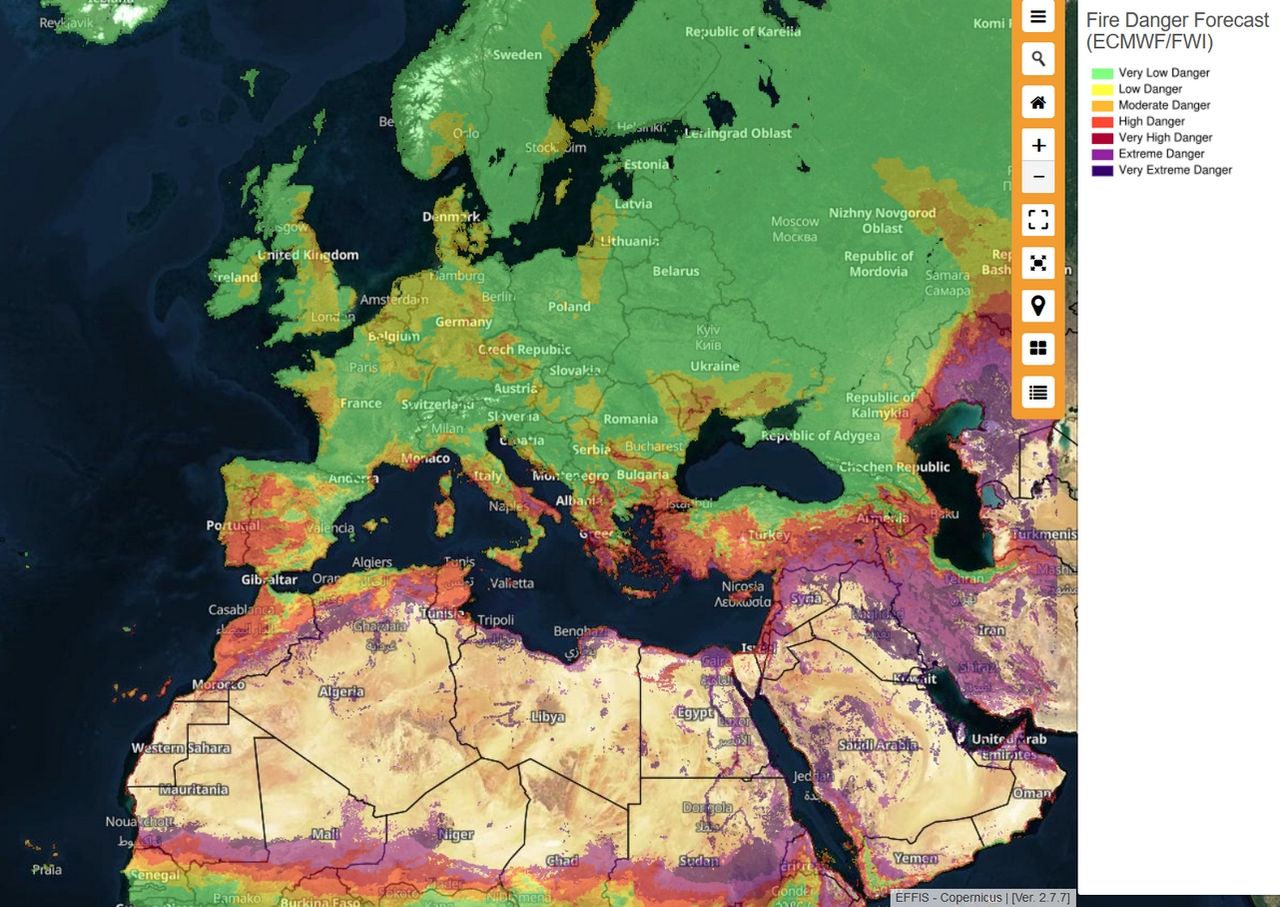 Global Forest Loss Reaches Record High: Wildfires Fuel Destruction Global Forest Loss Reaches Record High: Wildfires Fuel Destruction