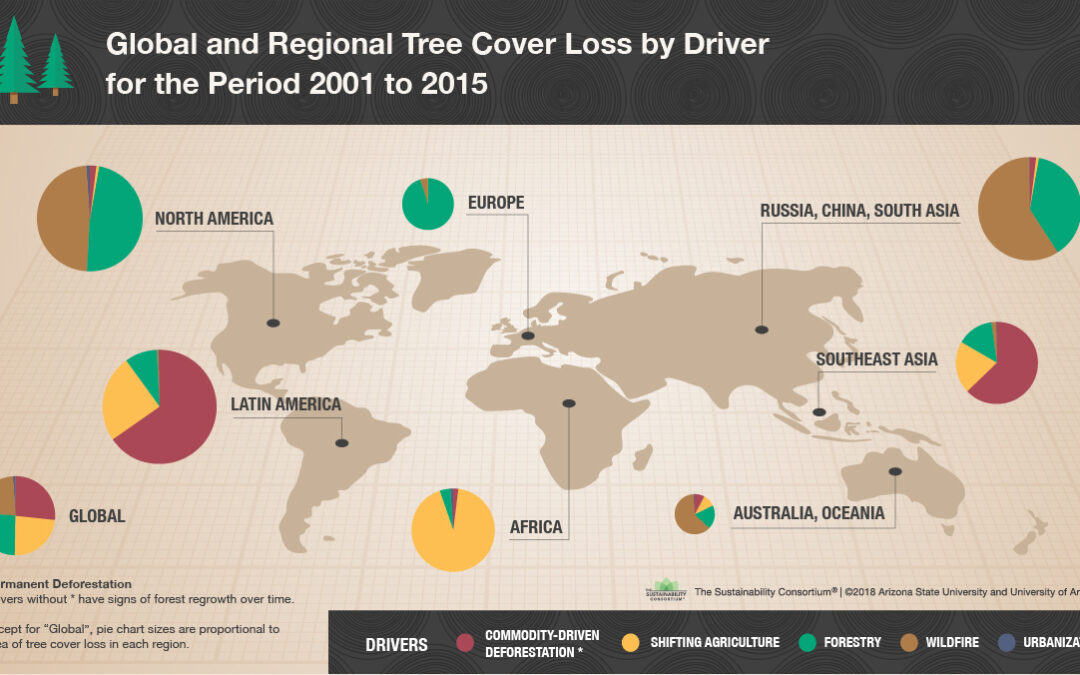 Global Forest Loss Reaches Record High: Wildfires Fuel The Destruction Global Forest Loss Reaches Record High: Wildfires Fuel The Destruction