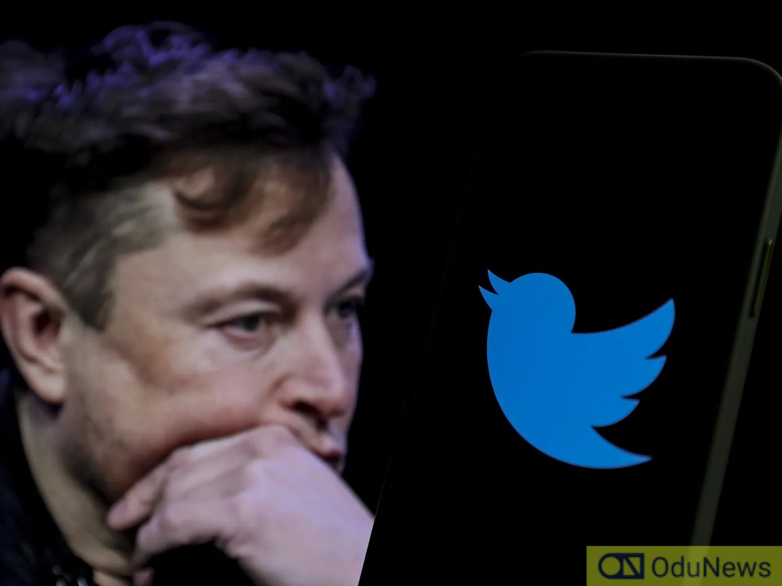 Gork Meme Coin: Price Surge Follows Elon Musk's Twitter Name Change Gork Meme Coin: Price Surge Follows Elon Musk's Twitter Name Change