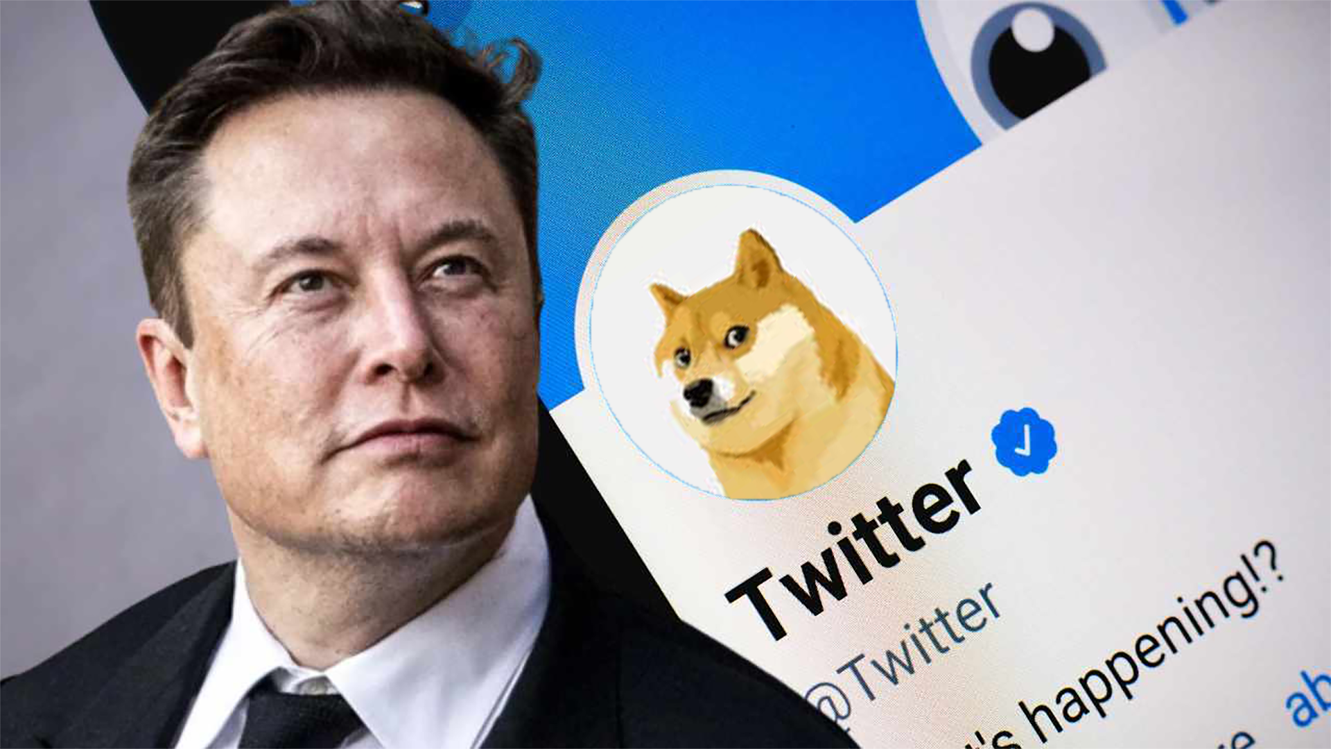 Gork Meme Coin's Market Value Increases: Impact Of Elon Musk's Twitter Change Gork Meme Coin's Market Value Increases: Impact Of Elon Musk's Twitter Change