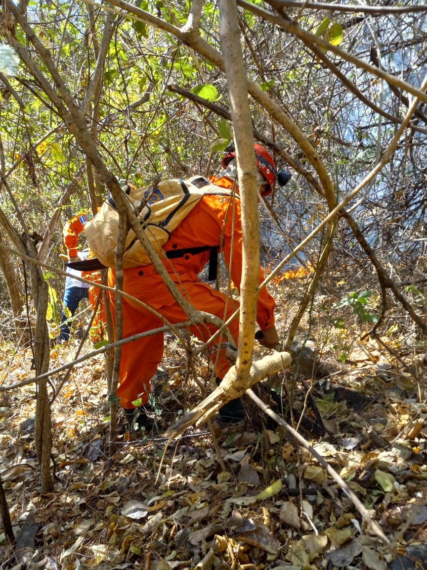 Grave Incendio Forestal En Constanza: Bomberos Trabajan Para Controlar Las Llamas Grave Incendio Forestal En Constanza: Bomberos Trabajan Para Controlar Las Llamas