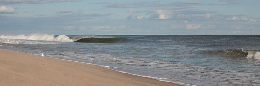 Hamptons DWI Defense: The Edward Burke Jr. Approach Hamptons DWI Defense: The Edward Burke Jr. Approach