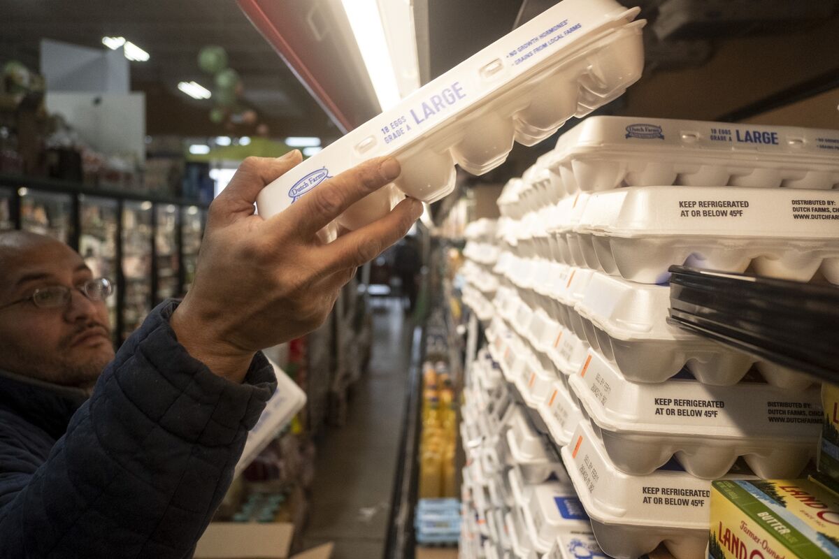 Has Trump's Egg Price Prediction Come True? Has Trump's Egg Price Prediction Come True?