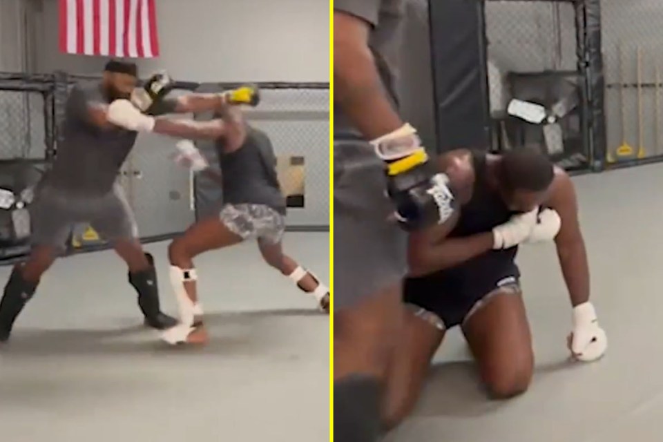 Hasbulla Fights: Jon Jones's Injury And Recovery Hasbulla Fights: Jon Jones's Injury And Recovery