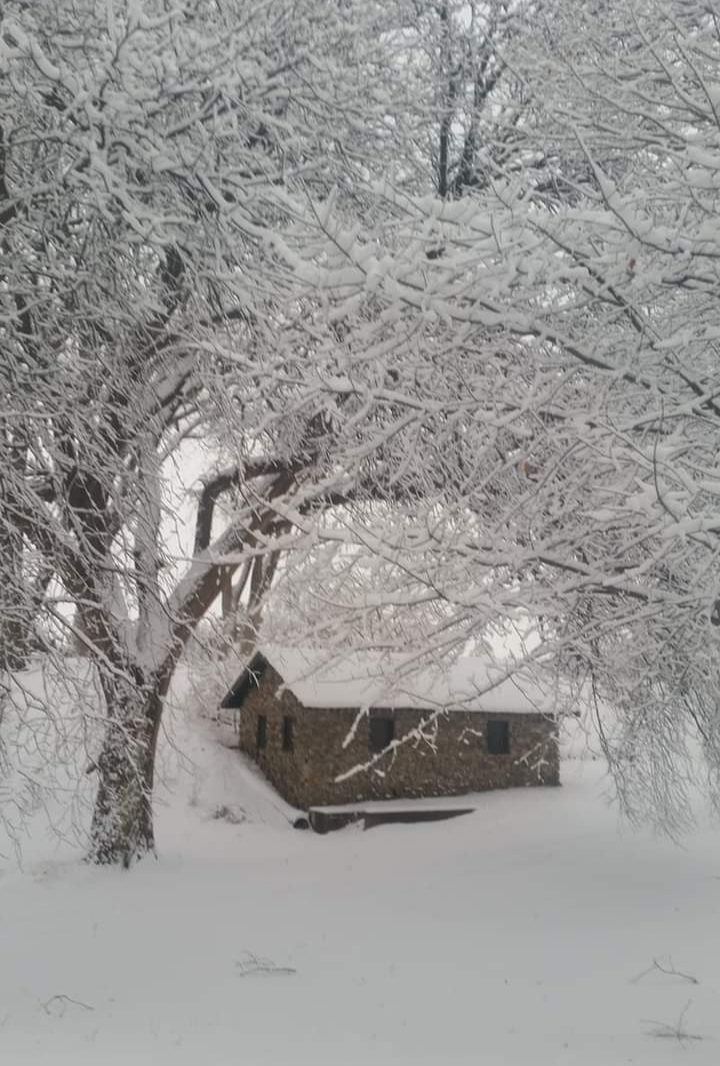 Heavy Snow And Extreme Cold Predicted For Tuesday: Four Inches Or More Heavy Snow And Extreme Cold Predicted For Tuesday: Four Inches Or More