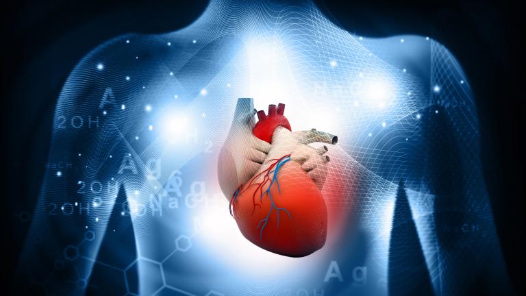 Household Plastics And Heart Disease: A New Study Reveals A Concerning Link