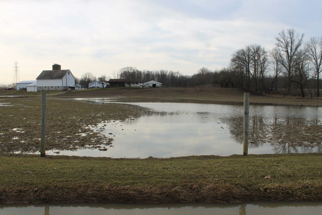 How Flooding Impacts Livestock And Farming Practices How Flooding Impacts Livestock And Farming Practices