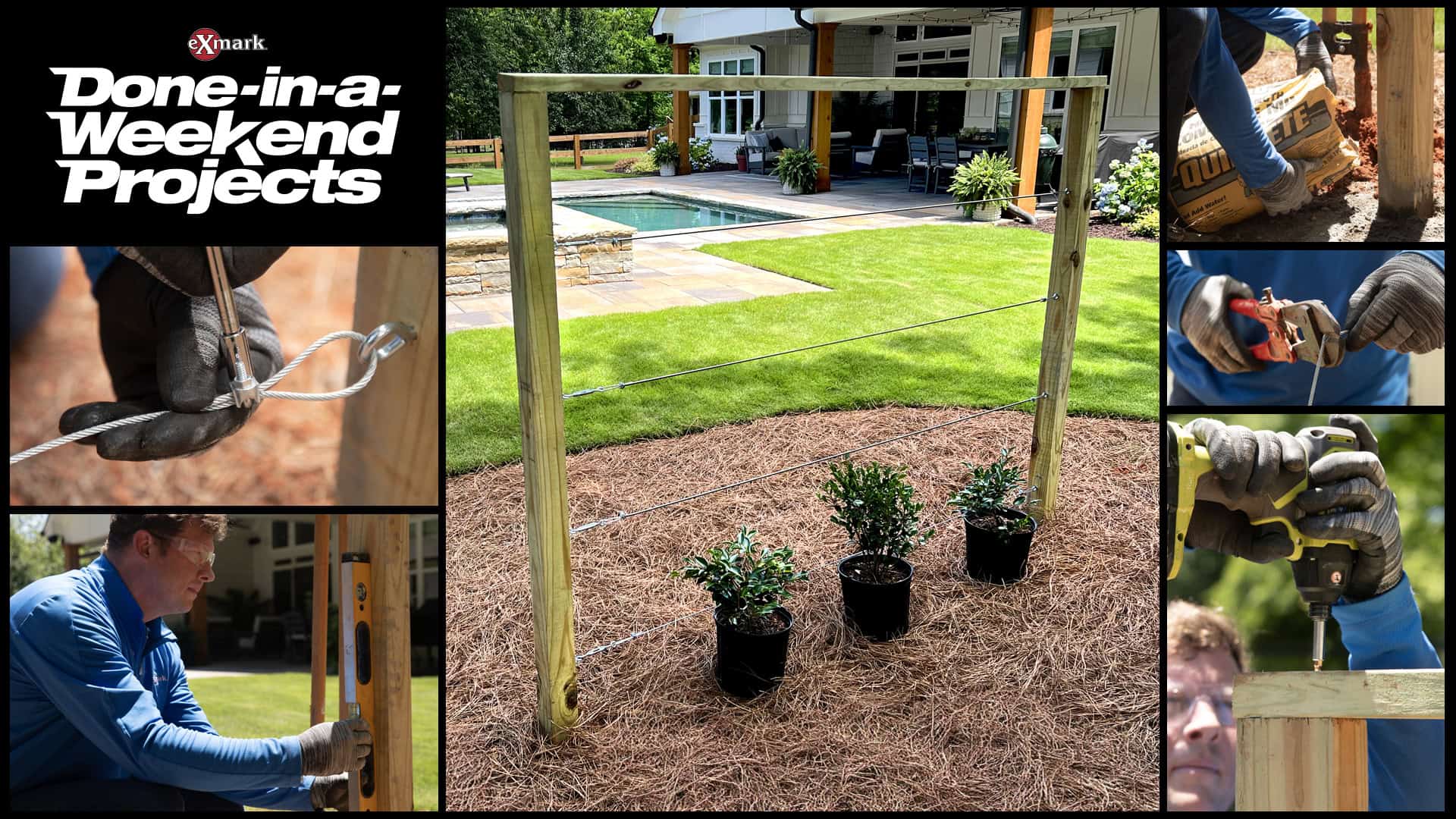 How To Grow A Thriving Living Fence How To Grow A Thriving Living Fence