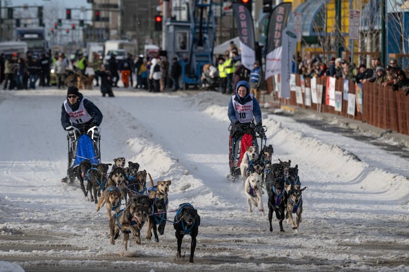 Iditarod's Shorter Race: Fur Rondy Mushers Persevere Iditarod's Shorter Race: Fur Rondy Mushers Persevere