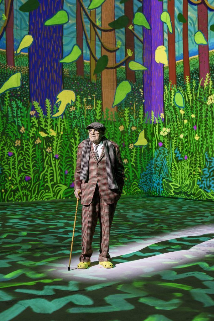 Immersive Landscapes: Exploring David Hockney's 