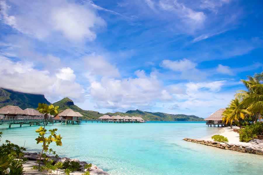 Increase Your Earnings: PONANT's Agent Incentive For Paul Gauguin Cruises Increase Your Earnings: PONANT's Agent Incentive For Paul Gauguin Cruises