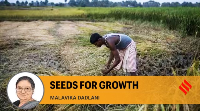 Ind-Ra: Robust Monsoon To Boost Indian Agriculture And Consumption Ind-Ra: Robust Monsoon To Boost Indian Agriculture And Consumption