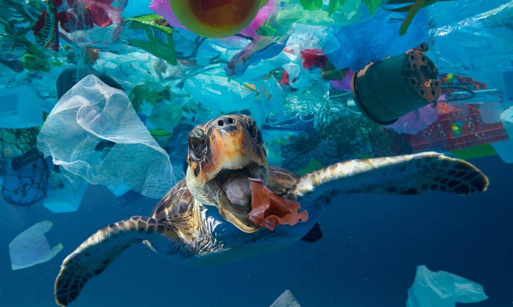 Inquinamento Da Microplastiche: Quali Acque Sono Più A Rischio? Inquinamento Da Microplastiche: Quali Acque Sono Più A Rischio?