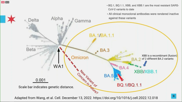 INSACOG Detects BA.1 And LF.7 COVID Variants In India: Understanding The Implications INSACOG Detects BA.1 And LF.7 COVID Variants In India: Understanding The Implications
