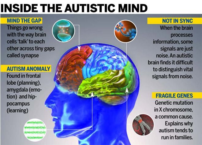 Inside Our ADHD Minds: Understanding The Neurodivergent Brain Inside Our ADHD Minds: Understanding The Neurodivergent Brain